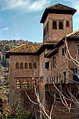 Alhambra  Vista sul Palazzo del Partal con la Torre de las Damas.